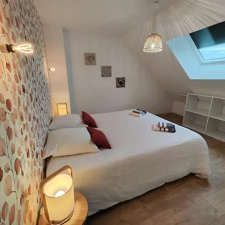 Apartment Cosy Proche Gare De Metz *